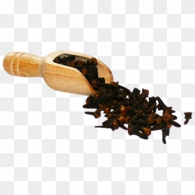 Wood, HD Png Download - dates tree png