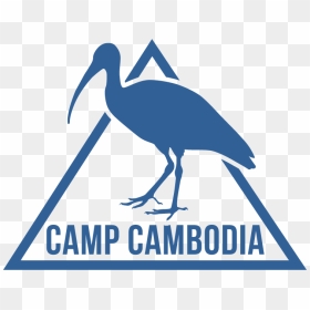 Camp Cambodia Logo - Camps International Costa Rica, HD Png Download - camp png