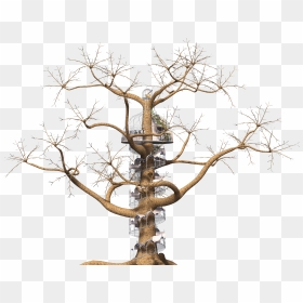 Spiral Staircase Tree, HD Png Download - tree wood png