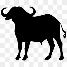 Water Buffalo Clip Art - Water Buffalo Silhouette, HD Png Download - indian buffalo png