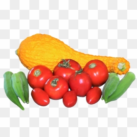 Fresh Vegetables Picture - Bush Tomato, HD Png Download - vegetables png images
