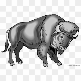 Water Buffalo Clip Art Portable Network Graphics Image - Water Buffalo Buffalo Png Cartoon, Transparent Png - indian buffalo png