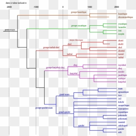 Tree Of Maya Languages - Tree Model Of Language, HD Png Download - dates tree png