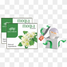 Mogra Flower Png, Transparent Png - mogra flower png