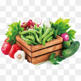 Guaranteed 100% Taste, Freshness & Nutritional Content - Grocery Frame Png, Transparent Png - vegetables png images