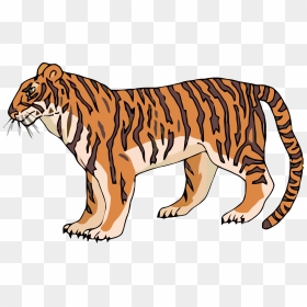 Tiger From The Side Cartoon, HD Png Download - tiger png image