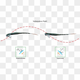 Subaqueous Flight - Período Silurico Png, Transparent Png - flight png images