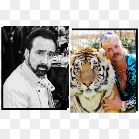 Tiger King Nicolas Cage Will Play Joe Exotic In New - Tiger King Joe, HD Png Download - tiger png image