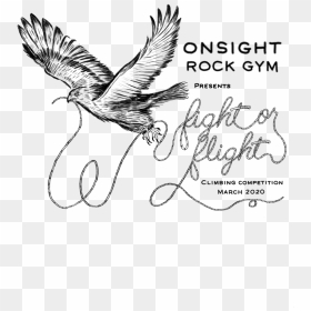 Onsight Rock Gym Fight Or Flight - Red-tailed Hawk, HD Png Download - flight png images