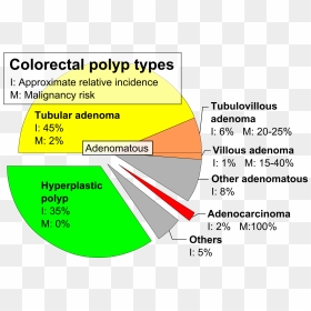 Pie Chart Of Colorectal Polyp Etiologies - Colon Polyp Type, HD Png Download - ram ji png