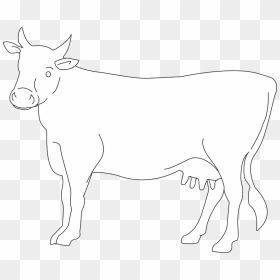 White Cow Png Photo - Cow Vector Png White, Transparent Png - cow png images