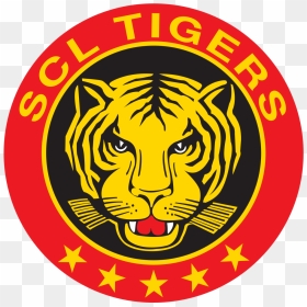 Scl Tigers, HD Png Download - tiger png image