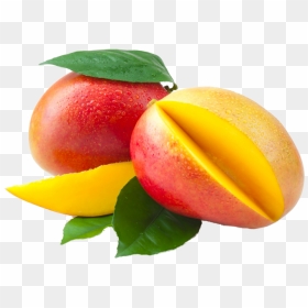 Mango - Apple Mangoes, HD Png Download - yellow mango png