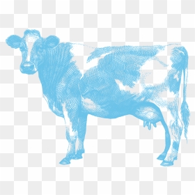 Cow - Aunt Jeans Co Nz, HD Png Download - cow png images