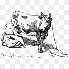 Milk The Cow Clip Art Black And White, HD Png Download - cow png images