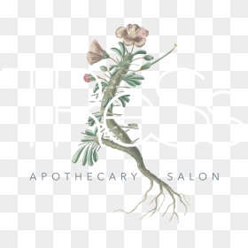 Tress Png, Transparent Png - tress png