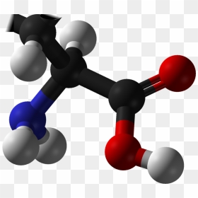 Amino Acid Png Images - Amino Acid Molecule Png, Transparent Png - acid png