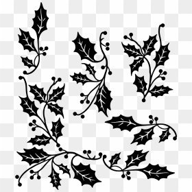 Holly Leaf Vector - Holly Branches Vector, HD Png Download - holly leaves png
