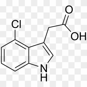4 Chloroindole 3 Acetic Acid, HD Png Download - acid png