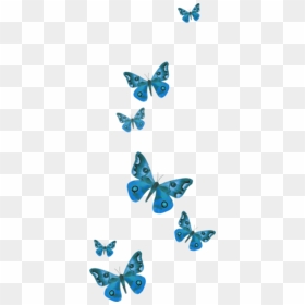 Popular And Trending Butterfly Stickers On Picsart - Butterfly Stickers For Editing, HD Png Download - png stickers for picsart
