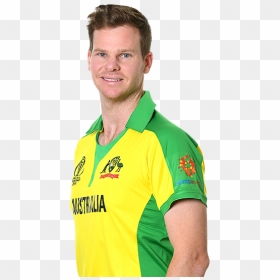 David Warner World Cup 2019, HD Png Download - cricket cup png