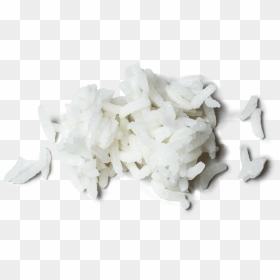 Mogra Flower Png, Transparent Png - mogra flower png