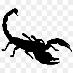 Scorpion Silhouette Clip Art - Scorpion Clip Art, HD Png Download - scorpio car png