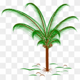 Palm Tree Snowglobe, HD Png Download - palm plant png