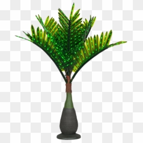Palm Tree With Lights Png, Transparent Png - palm plant png