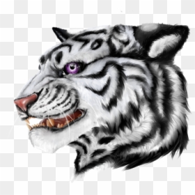 Siberian Tiger, HD Png Download - kyubey png