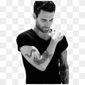 Maroon 5 Tattoo Tiger, HD Png Download - adam levine png