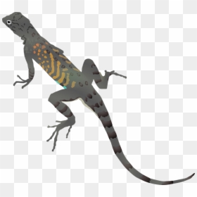 Lizard Clipart, HD Png Download - realistic dragon png