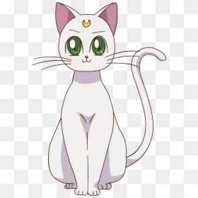 Artemis Gato Sailor Moon, HD Png Download - sailor moon luna png