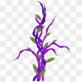 Purple Vines With Thorns Png, Transparent Png - thorn vine png