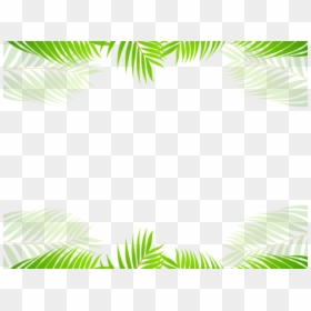Palm Tree, HD Png Download - tree border png