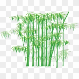 Glass Films In Bamboo Design, HD Png Download - tree border png