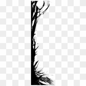Monochrome, HD Png Download - tree border png
