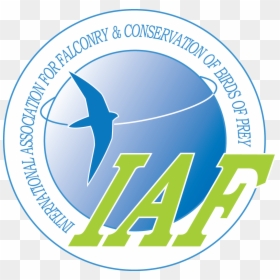 International Association Of Falconry, HD Png Download - prey logo png