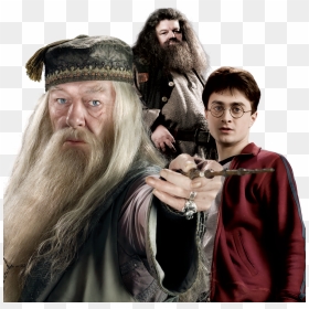 Harry Potter Dumbledore Harry Hagrid - Harry Potter Dumbledore And Hagrid, HD Png Download - dumbledore png