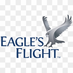 Eagles Flight Logo, HD Png Download - flight png images