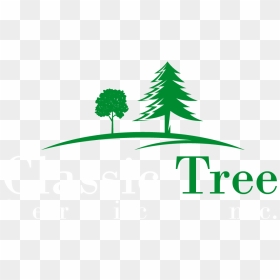Christmas Tree, HD Png Download - tress png