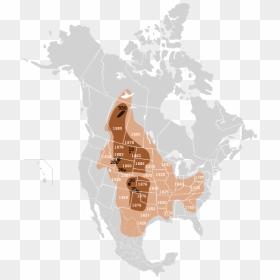 Buffalo 19th Century - American Bison Map, HD Png Download - indian buffalo png