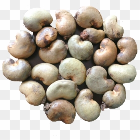 Raw Cashew Nut Png, Transparent Png - kaju png