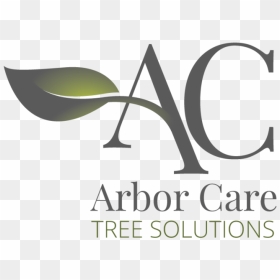 Acts Stackedac, HD Png Download - tress png
