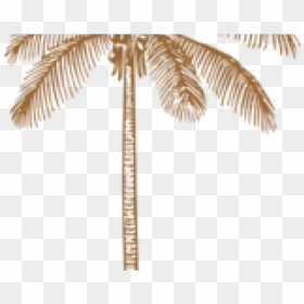 Clip Art, HD Png Download - wedding barat images png
