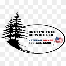 Bretts Tree Service Logo - Drawing Pine Trees Tutorial, HD Png Download - tress png
