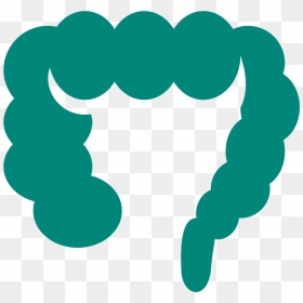 Large Intestine Computer Icons Font - Large Intestine Transparent Background, HD Png Download - giant png