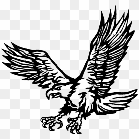 Dibujo Aguila Png - Dibujo De Aguila Png, Transparent Png - aguila png