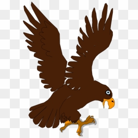 Aguila - Eagle Picture For Kids, HD Png Download - aguila png