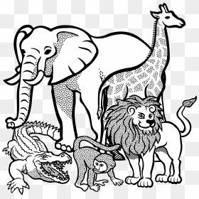 Cliparts For Free Download Buffalo Clipart Sketch And - Wild Animals Colouring Pages, HD Png Download - indian buffalo png